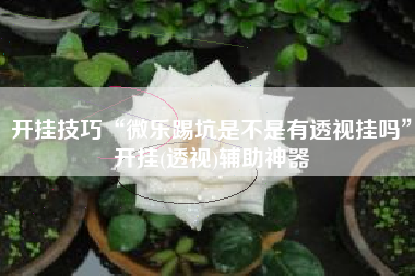 开挂技巧“微乐踢坑是不是有透视挂吗”开挂(透视)辅助神器