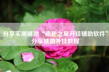 分享实测辅助“德扑之星开挂辅助软件”分享辅助外挂教程