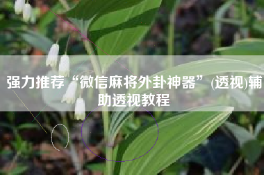 强力推荐“微信麻将外卦神器	”(透视)辅助透视教程